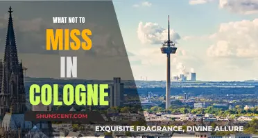 Exploring Cologne: Must-See Attractions and Experiences