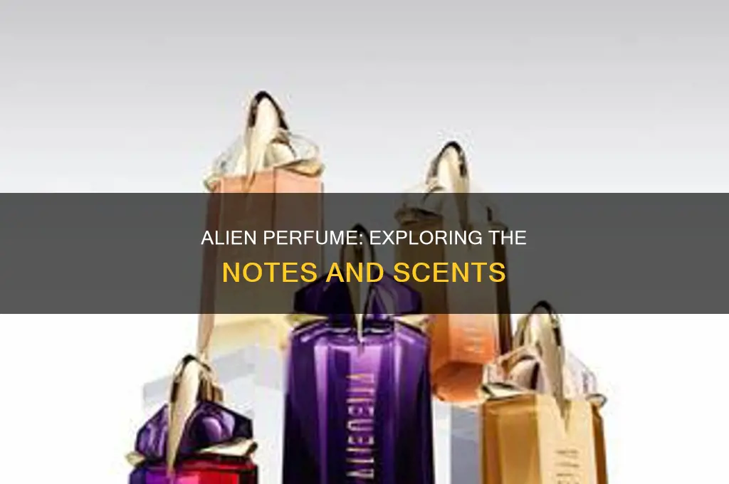 what notes are in alien perfume