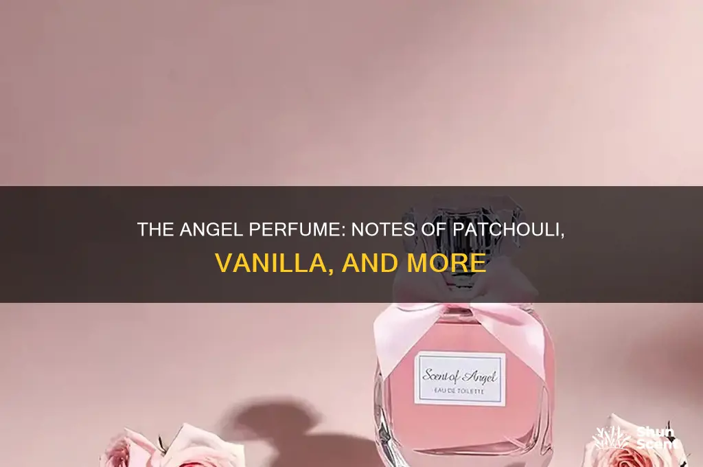 what notes are in angel perfume