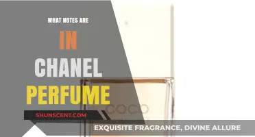 The Secret Notes in Chanel Perfumes