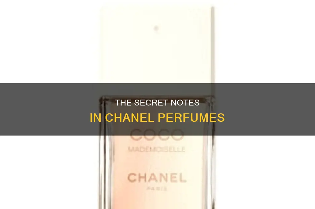 what notes are in chanel perfume