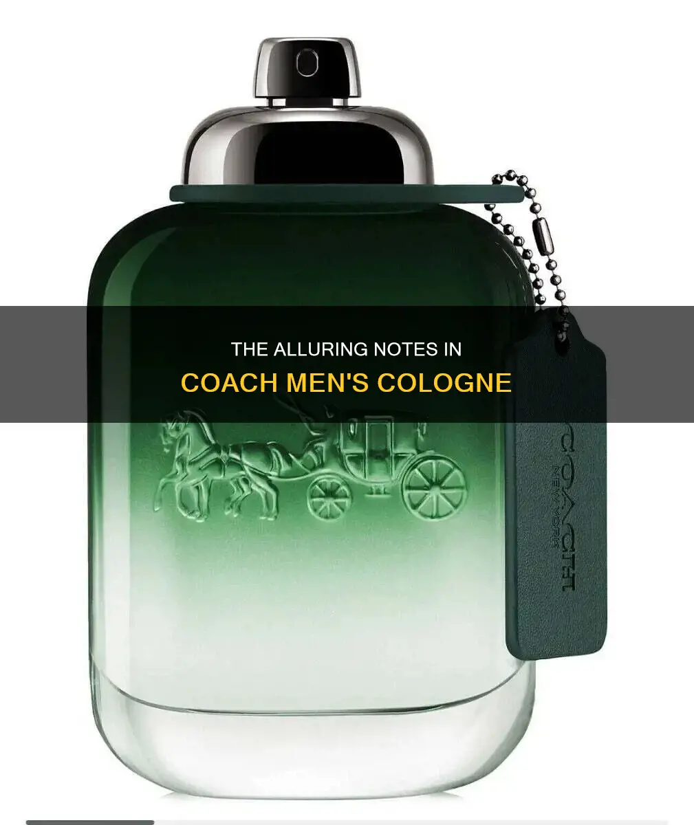 what notes are in coach mens cologne