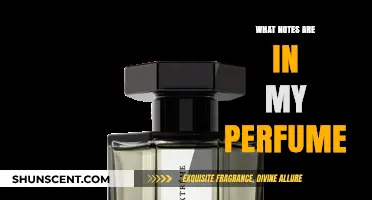 The Art of Perfume: Notes and Their Magic