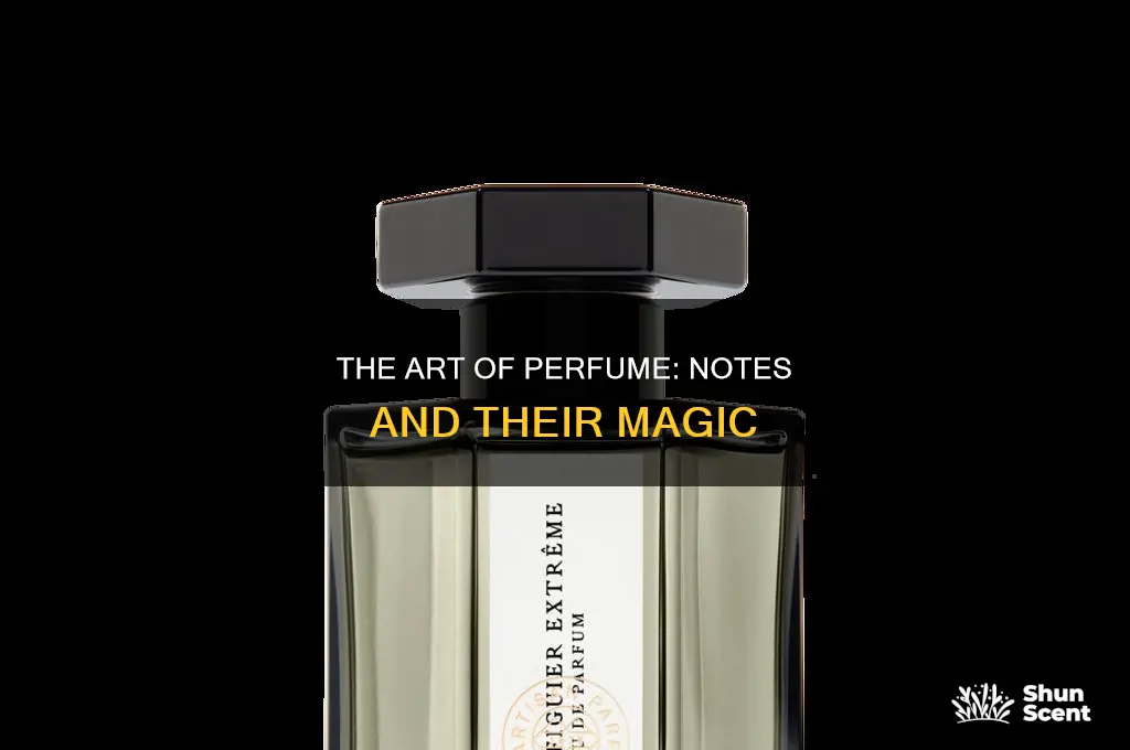 what notes are in my perfume
