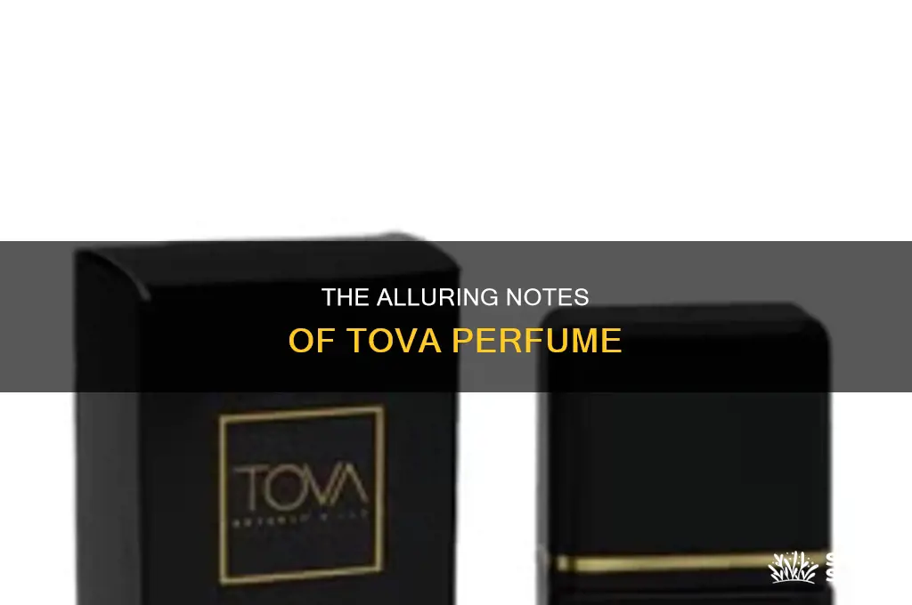 what notes are in tova perfume