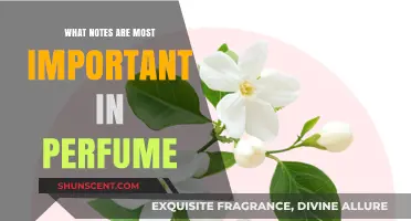 The Heart of Fragrance: Notes that Make a Perfume Sing