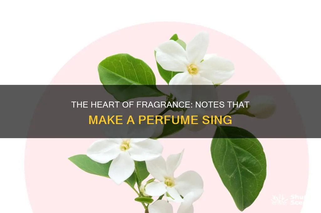 what notes are most important in perfume