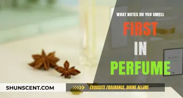 The Art of Perfume: First Impressions