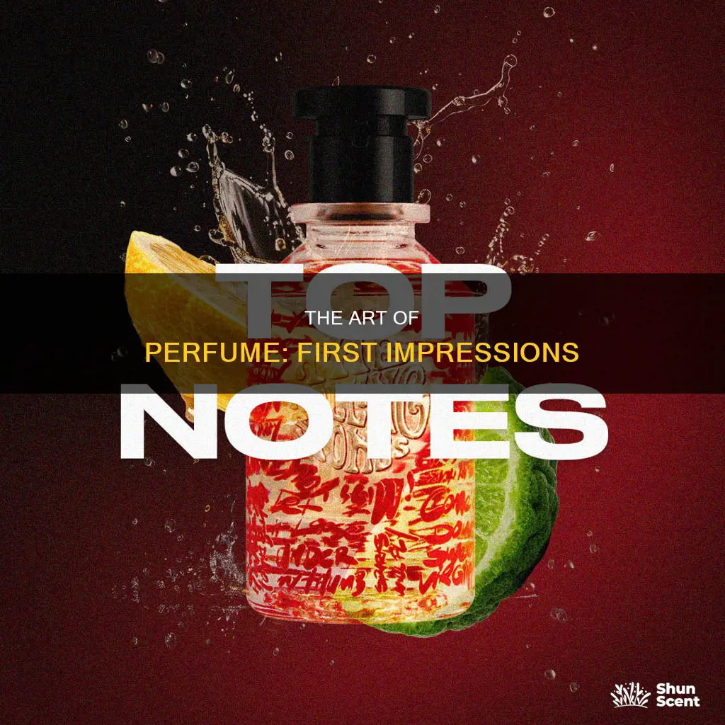 what notes do you smell first in perfume