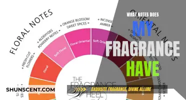 Understanding Your Fragrance: Notes and Their Meanings