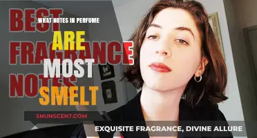 The Most Popular Notes in Perfumes Revealed