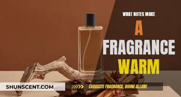 The Warmth of Scents: Notes that Create a Cozy Fragrance