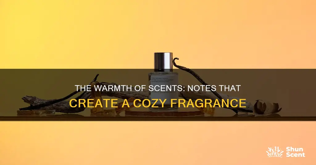 what notes make a fragrance warm