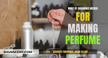 The Art of Making Perfume: Understanding Fragrance Notes