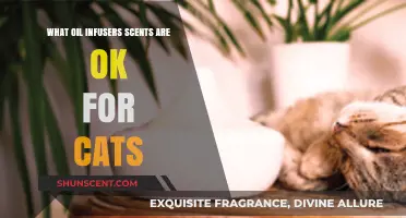 Cat-Safe Oil Infuser Scents: A Guide to Pet-Friendly Aromas