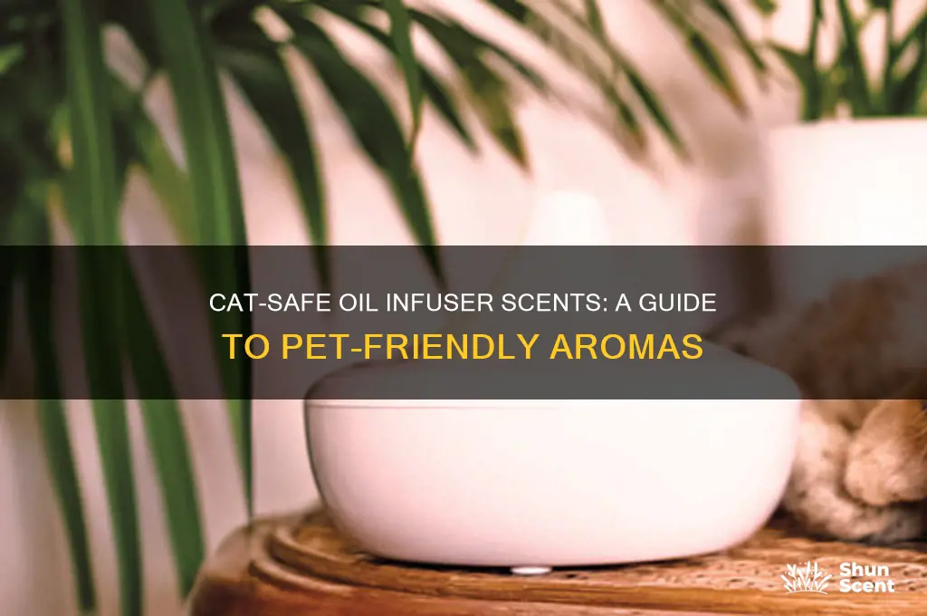 what oil infusers scents are ok for cats