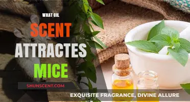 Discover the Surprising Oil Scents That Attract Mice to Your Home