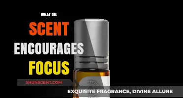 Boost Productivity: Discover the Best Oil Scents for Enhanced Focus