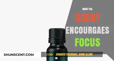 Boost Productivity: Discover the Best Oil Scents for Enhanced Focus