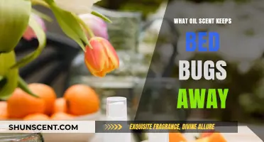 Natural Bed Bug Repellents: Essential Oils to Keep Pests at Bay