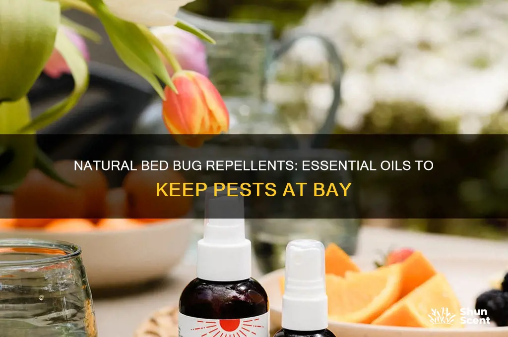 what oil scent keeps bed bugs away