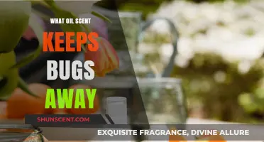 Natural Bug Repellents: Essential Oils to Keep Insects at Bay