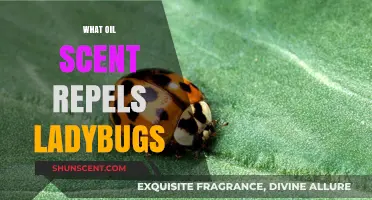 Natural Ladybug Repellents: Essential Oils to Keep Them at Bay