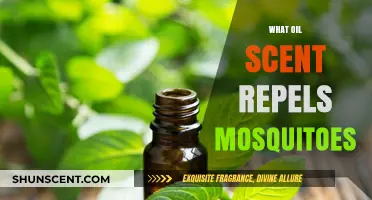 Natural Mosquito Repellents: Best Essential Oils to Keep Bugs Away