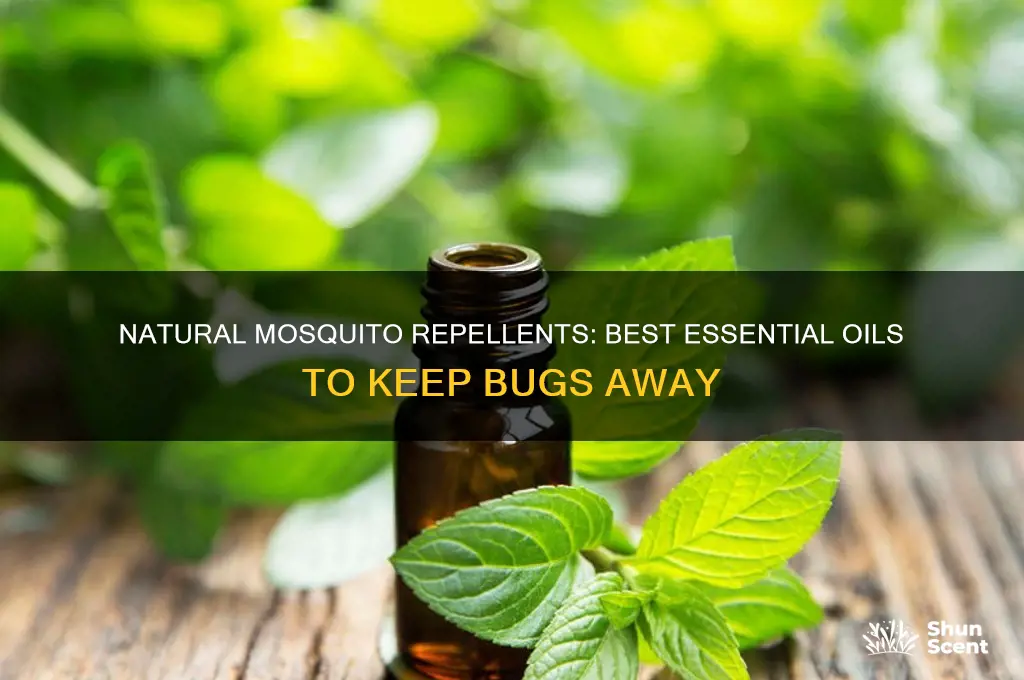 what oil scent repels mosquitoes