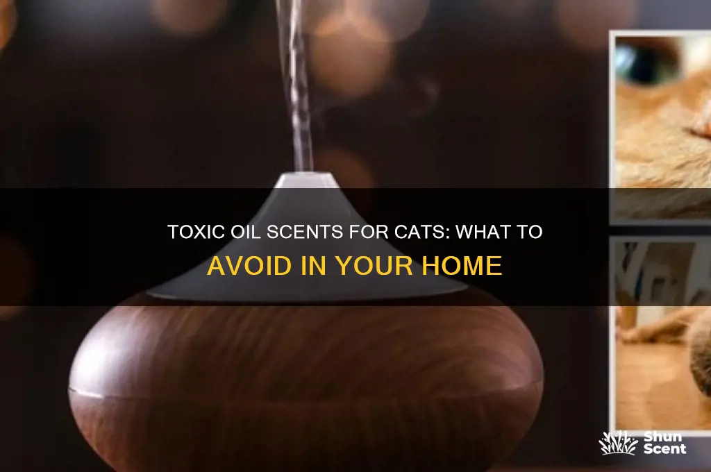 what oil scents are bad for cats