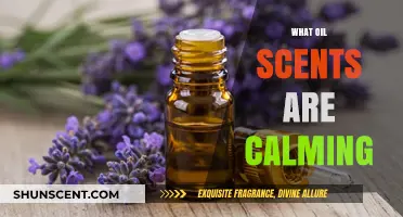 Discover Soothing Oil Scents for Ultimate Relaxation and Calmness