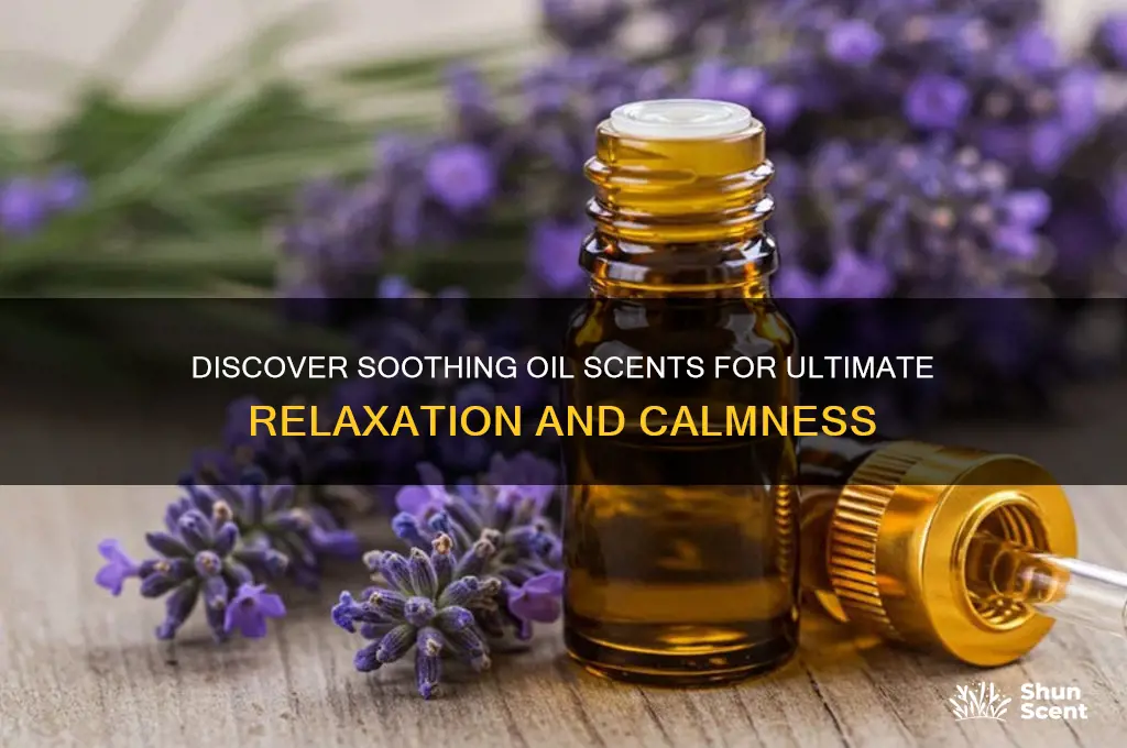 what oil scents are calming