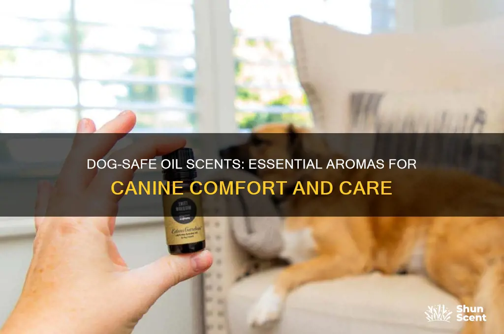 what oil scents are safe for dogs