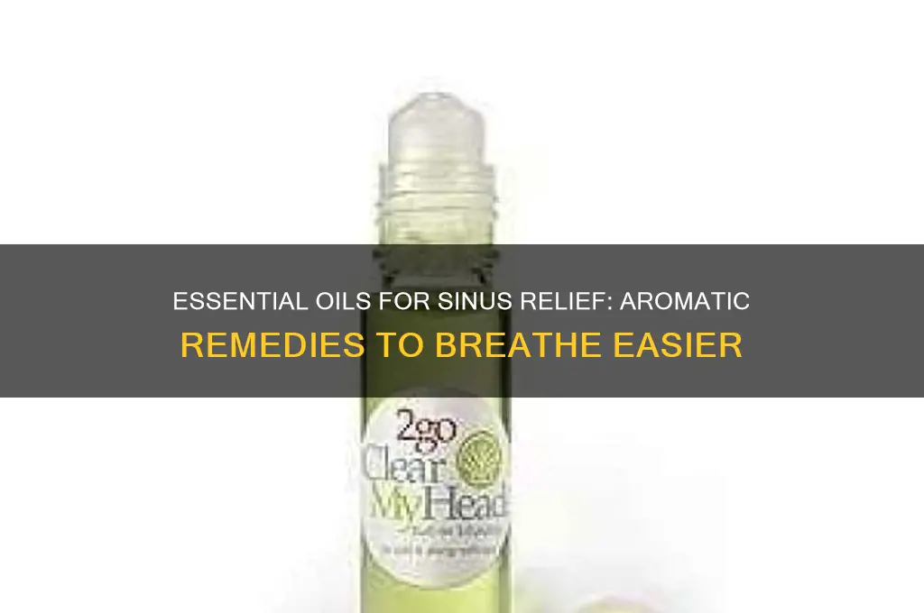 what oil scents help with sinuses