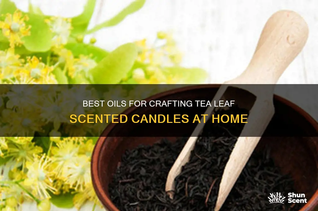 what oil to use for tea leaf scented candle