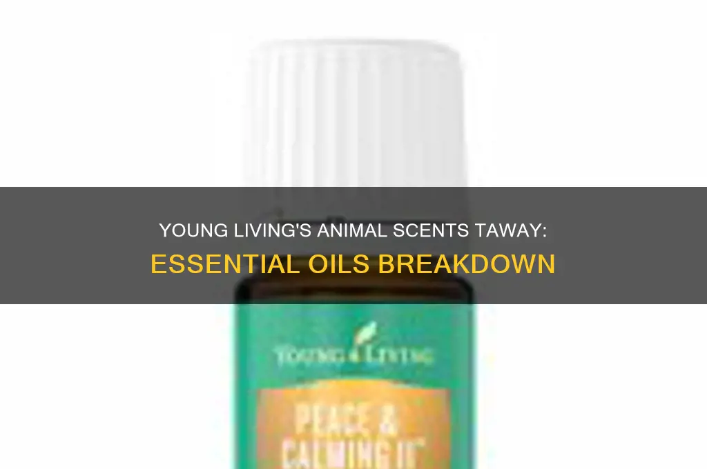 what oils are in youngs living animal scents taway
