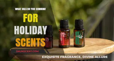 Festive Aromas: Blending Essential Oils for Holiday Scents and Cheer
