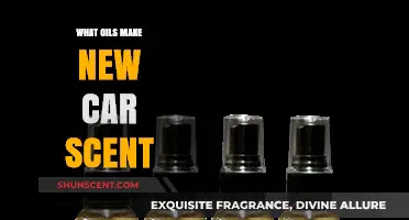 Unveiling the Aromatic Secrets: Oils Behind the New Car Scent