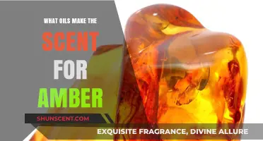 Unveiling Amber's Aromatic Secrets: Essential Oils Behind Its Signature Scent