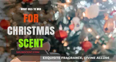 Crafting Festive Aromas: Essential Oils to Blend for Christmas Scents