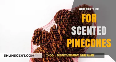 Best Essential Oils for Scenting Pinecones: A Fragrant DIY Guide
