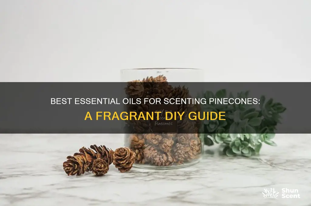 what oils to use for scented pinecones