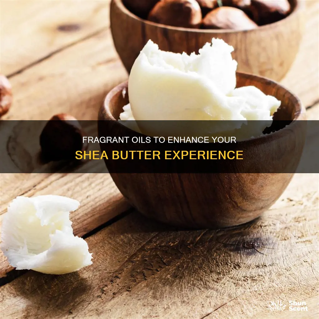 what oils to use in shea butter for fragrance
