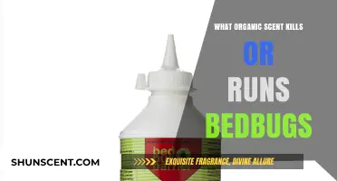 Natural Bedbug Repellents: Organic Scents to Kill or Repel Bedbugs