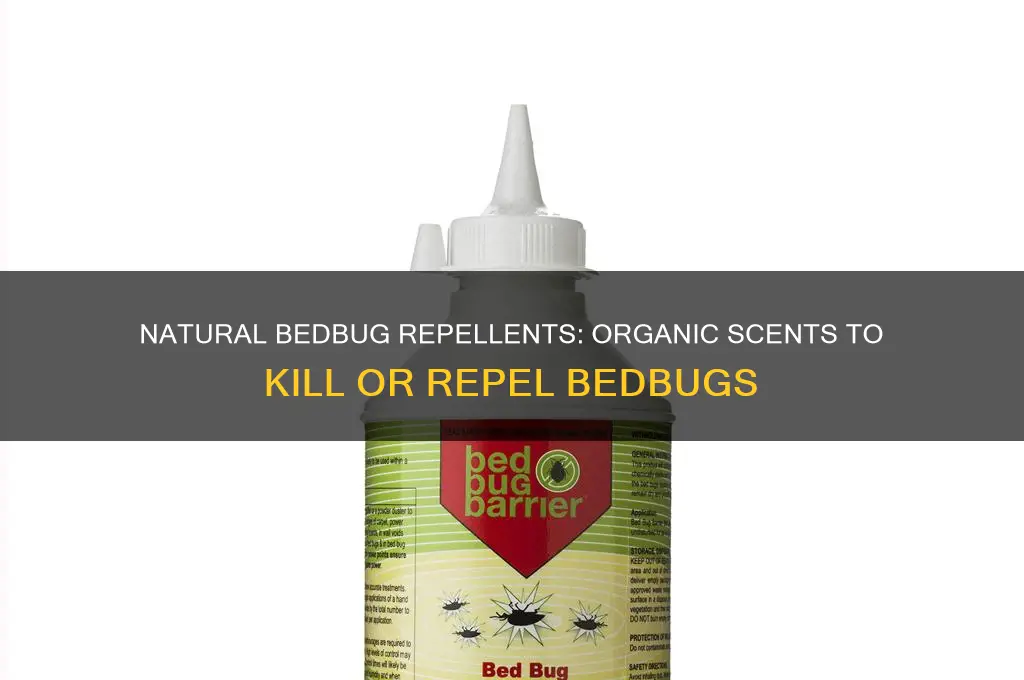 what organic scent kills or runs bedbugs