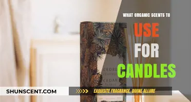 Natural Aromas: Best Organic Scents for Crafting Eco-Friendly Candles