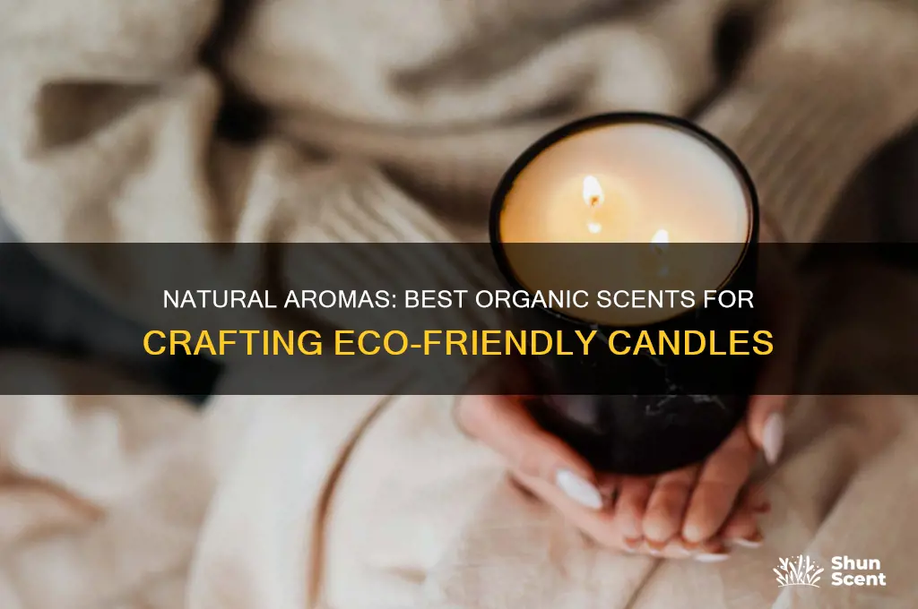 what organic scents to use for candles