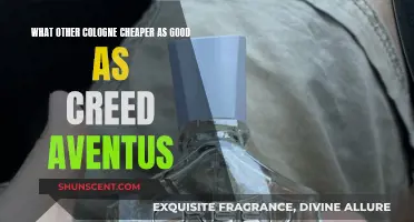 Affordable Alternatives to Creed Aventus: Smell Great for Less