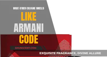 Armani Code Alternatives: Similar Scents for Men