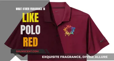 Polo Red Fragrance: Exploring Similar Scents and Aromas